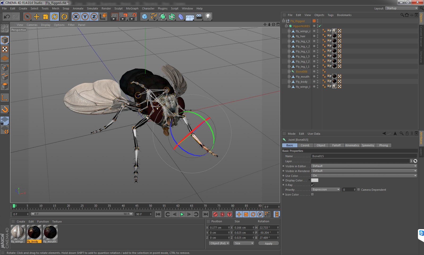Flies rigged 3D model - TurboSquid 1519394