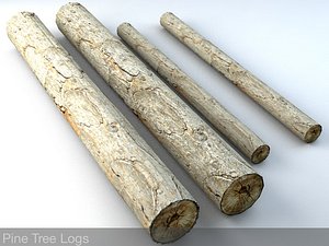 3d model pine tree wood
