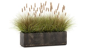 Reeds in a Flowerpot for the interior 904 3D model