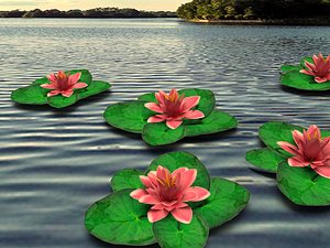 3D water lily