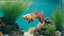 Coleção de Peixes de Aquário 2