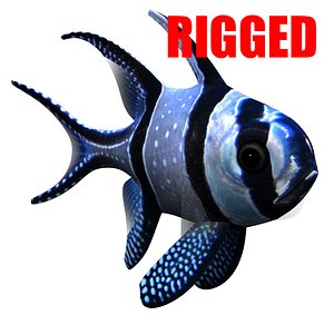 Cardinal Banggai Fish