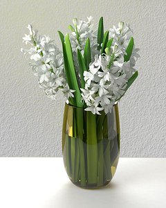 white hyacinths 3D model