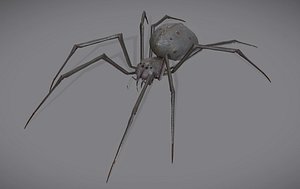 Spider Monster with animations model