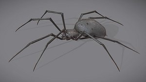 Spider Monster with animations model
