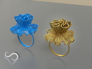3D ring printing modeler