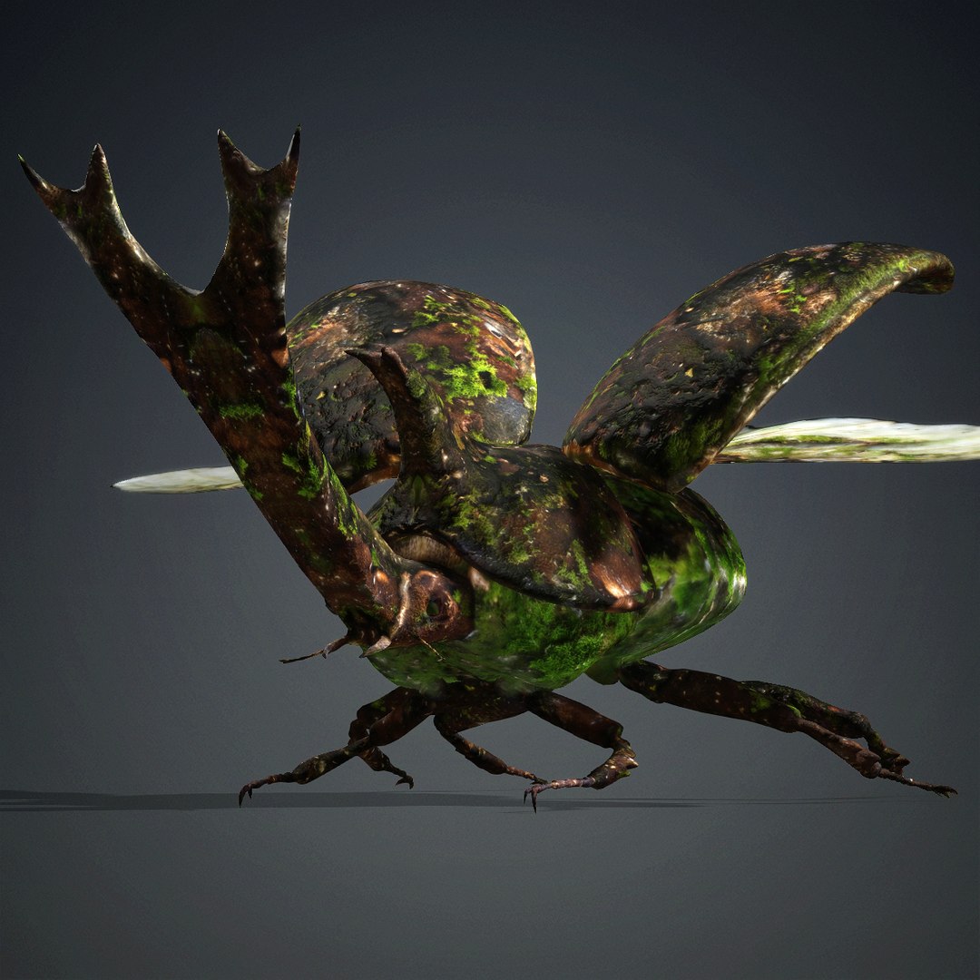 3D Stenocara-A1 model https://p.turbosquid.com/ts-thumb/oV/PDYSbv/6K/a1/jpg/1765784420/1920x1080/fit_q87/2afe4bc3f6e4bc1c6c0b9395e98bdb524ea45608/a1.jpg