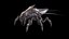 LandBug5