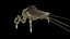 LandBug5