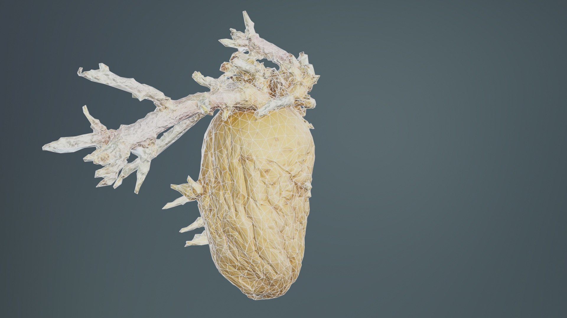 3D Shriveled Potatoe 3 Remastered model https://p.turbosquid.com/ts-thumb/oV/h1LNvb/4N/shriveled_potatoe_3_10/jpg/1740367352/1920x1080/fit_q87/4eb4416ad3b2dc3f0874c14d4910d45d96b92199/shriveled_potatoe_3_10.jpg