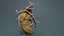 Shriveled Potatoe 3 rimasterizzato