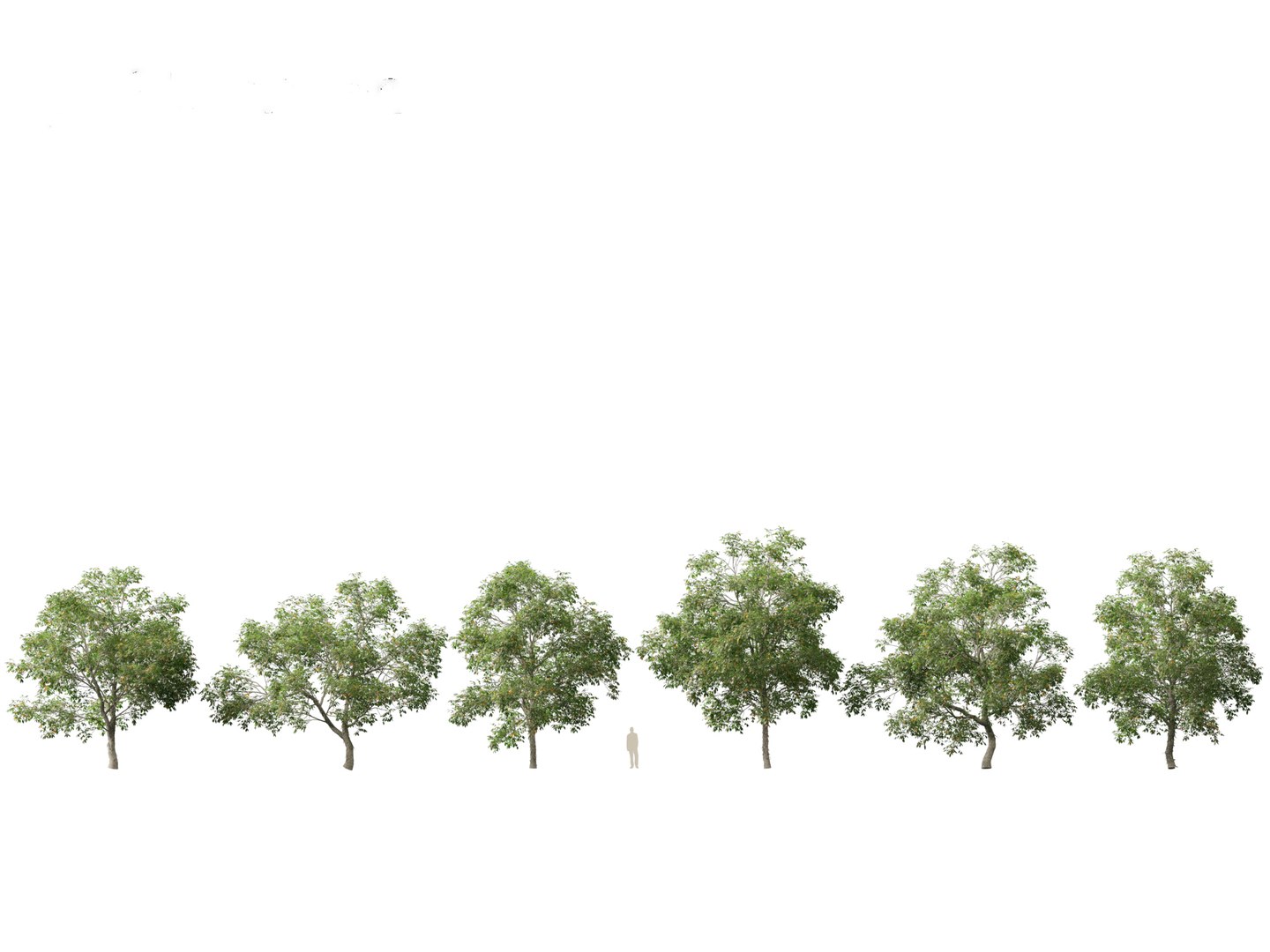 3D model Northern Forest Trees Pack 19 https://p.turbosquid.com/ts-thumb/oV/xY58vz/aB/caryaovata011/jpg/1759465358/1920x1080/fit_q87/f0b100080d5cc069ebb5cad147baf57c33401093/caryaovata011.jpg