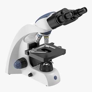 Compound Microscope