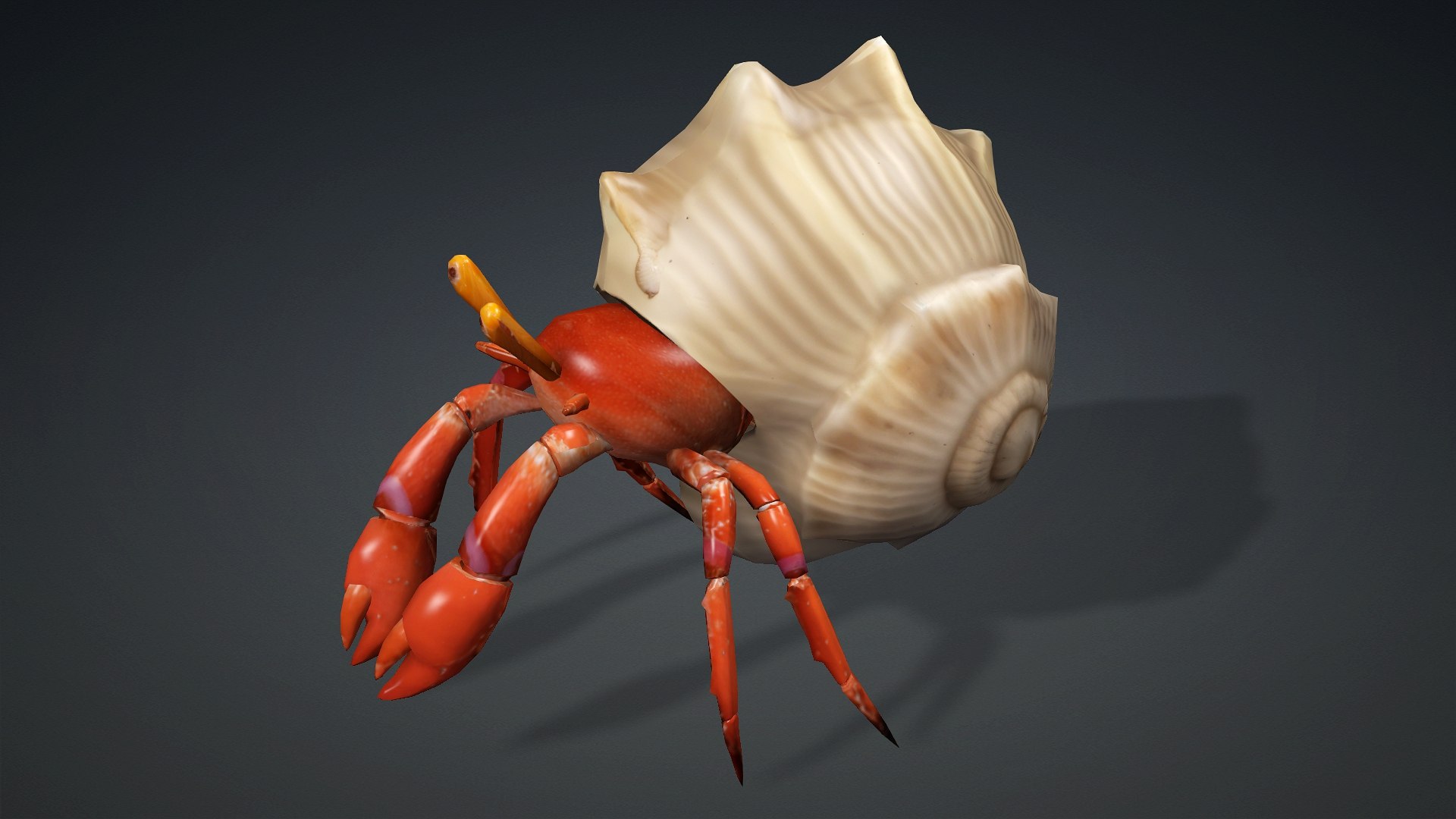 Hermit Crab-A1 3D https://p.turbosquid.com/ts-thumb/oW/07mxCK/0L/preview2/jpg/1761031799/1920x1080/fit_q87/2d033a3eca037bb5a2a8e8638c6e6fedfcedc8a9/preview2.jpg