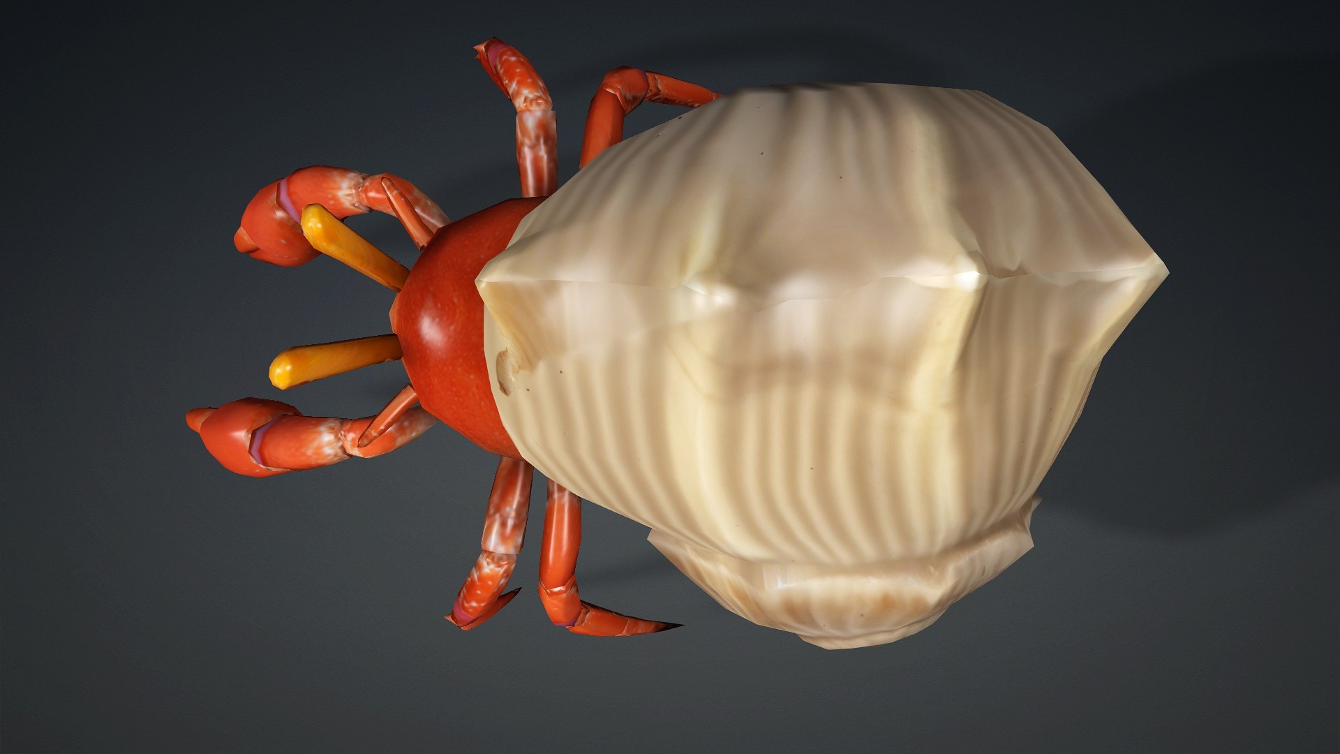 Hermit Crab-A1 3D https://p.turbosquid.com/ts-thumb/oW/07mxCK/1i/preview3/jpg/1761031798/1920x1080/fit_q87/21e1b9e6a12f159d42aa4a60d55823769568ace7/preview3.jpg