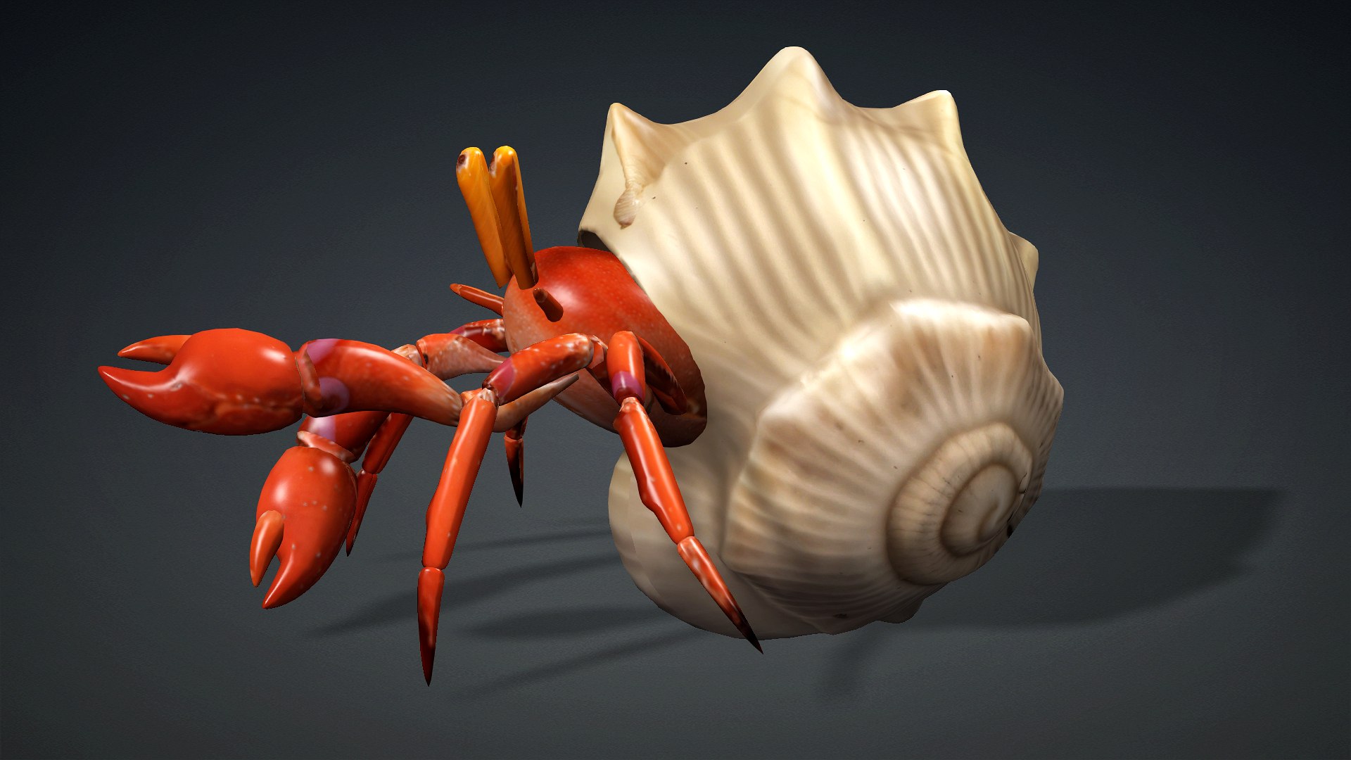 Hermit Crab-A1 3D https://p.turbosquid.com/ts-thumb/oW/07mxCK/MN/preview0/jpg/1761031799/1920x1080/fit_q87/053213cf37b6fb70116b50beb80125ba6e8ca766/preview0.jpg