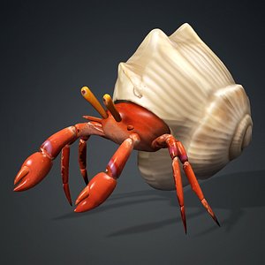 Hermit Crab-A1 3D