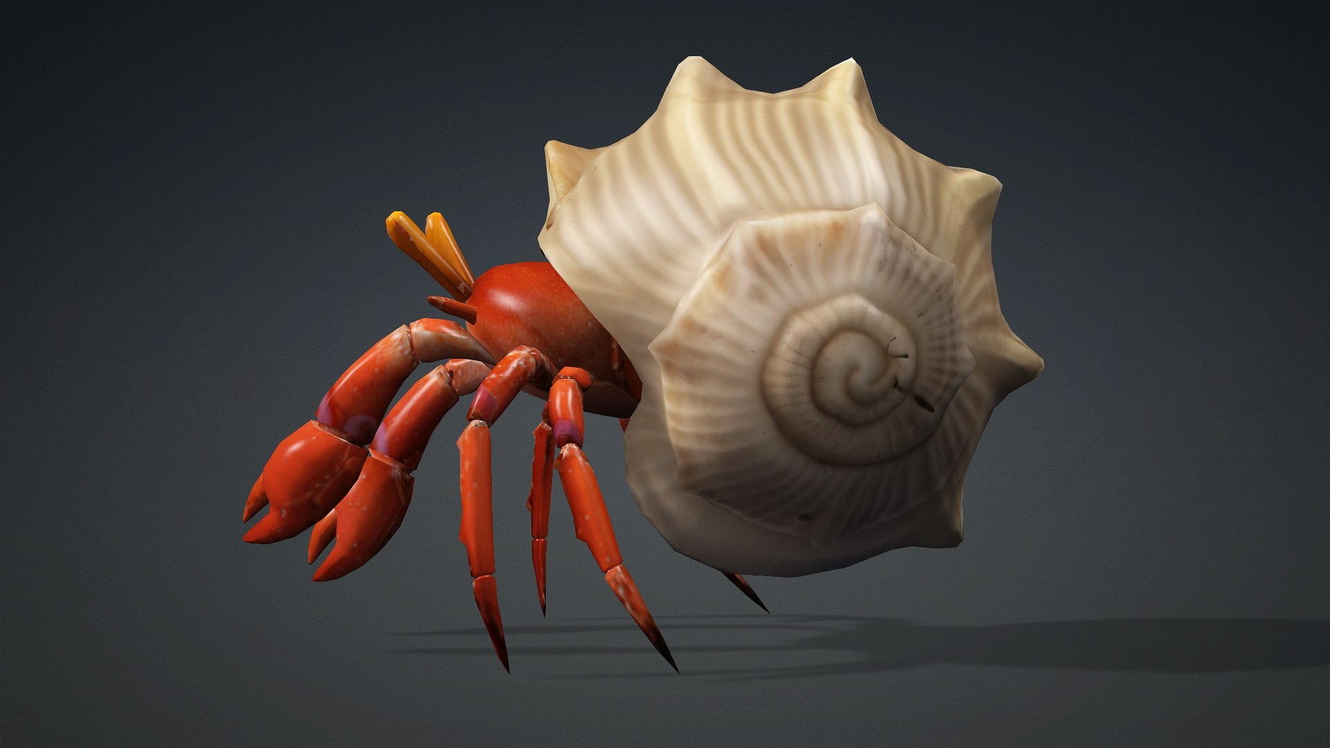 Hermit Crab-A1 3D https://p.turbosquid.com/ts-thumb/oW/07mxCK/R5/preview1/jpg/1761031796/1920x1080/fit_q87/6fc8cb095ae47b699f7a0a488a25944a9f26bf9a/preview1.jpg