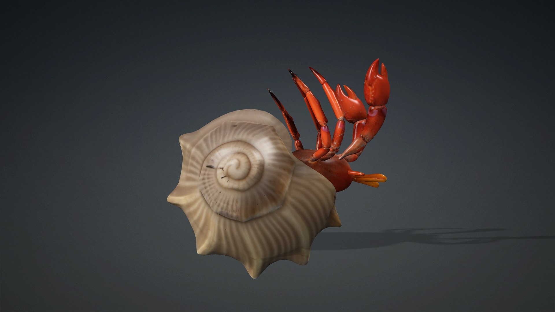 Hermit Crab-A1 3D https://p.turbosquid.com/ts-thumb/oW/07mxCK/qi/preview7/jpg/1761031800/1920x1080/fit_q87/67a47c8c4c3188e8b4cdff7cbf87c525abfdbd79/preview7.jpg
