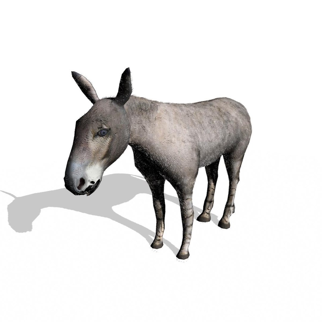 3d wild ass model https://p.turbosquid.com/ts-thumb/oW/M6mnc9/1sfueSyz/somaliwildassmaya3/jpg/1437752159/1920x1080/fit_q87/d032eed34b50ec99b12990818293729e11f53331/somaliwildassmaya3.jpg