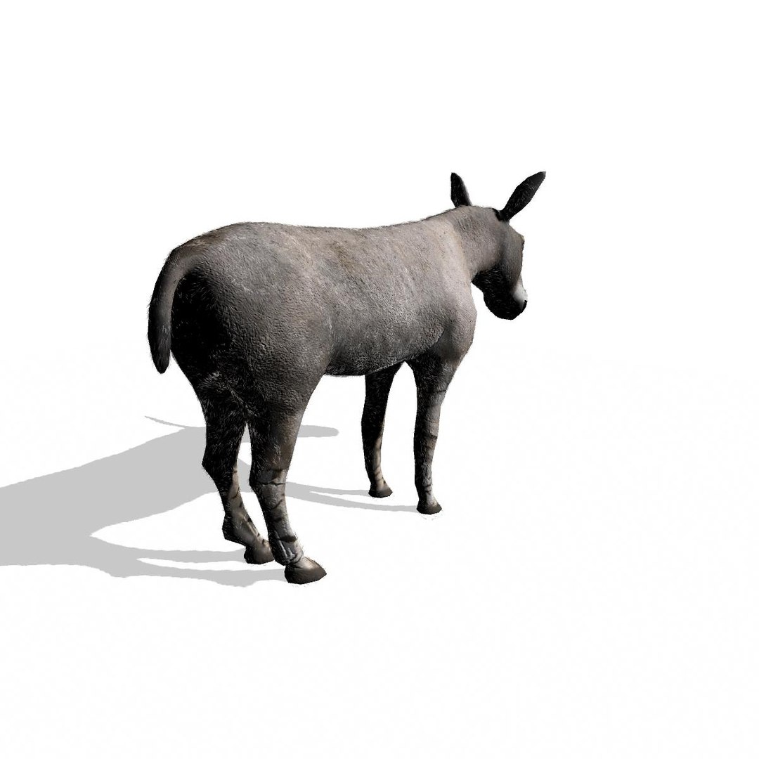 3d wild ass model https://p.turbosquid.com/ts-thumb/oW/M6mnc9/B7OiVHZ4/somaliwildassmaya9/jpg/1437752159/1920x1080/fit_q87/0e8ac39726dbefb80fb847313b8356718698e58c/somaliwildassmaya9.jpg