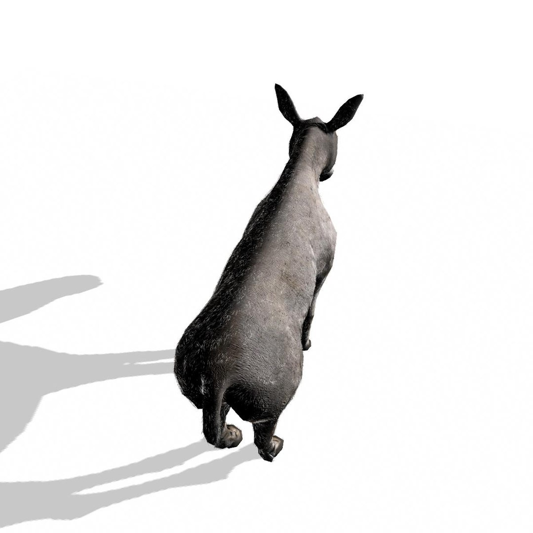 3d wild ass model https://p.turbosquid.com/ts-thumb/oW/M6mnc9/mLW0ePw2/somaliwildassmaya7/jpg/1437752159/1920x1080/fit_q87/42d1d95cef383ae6f4e34b9d5139cf7a3de24c7a/somaliwildassmaya7.jpg
