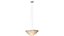 Подвесной светильник Forestier Nebulis XS