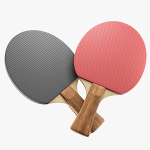 Table Tennis Paddle
