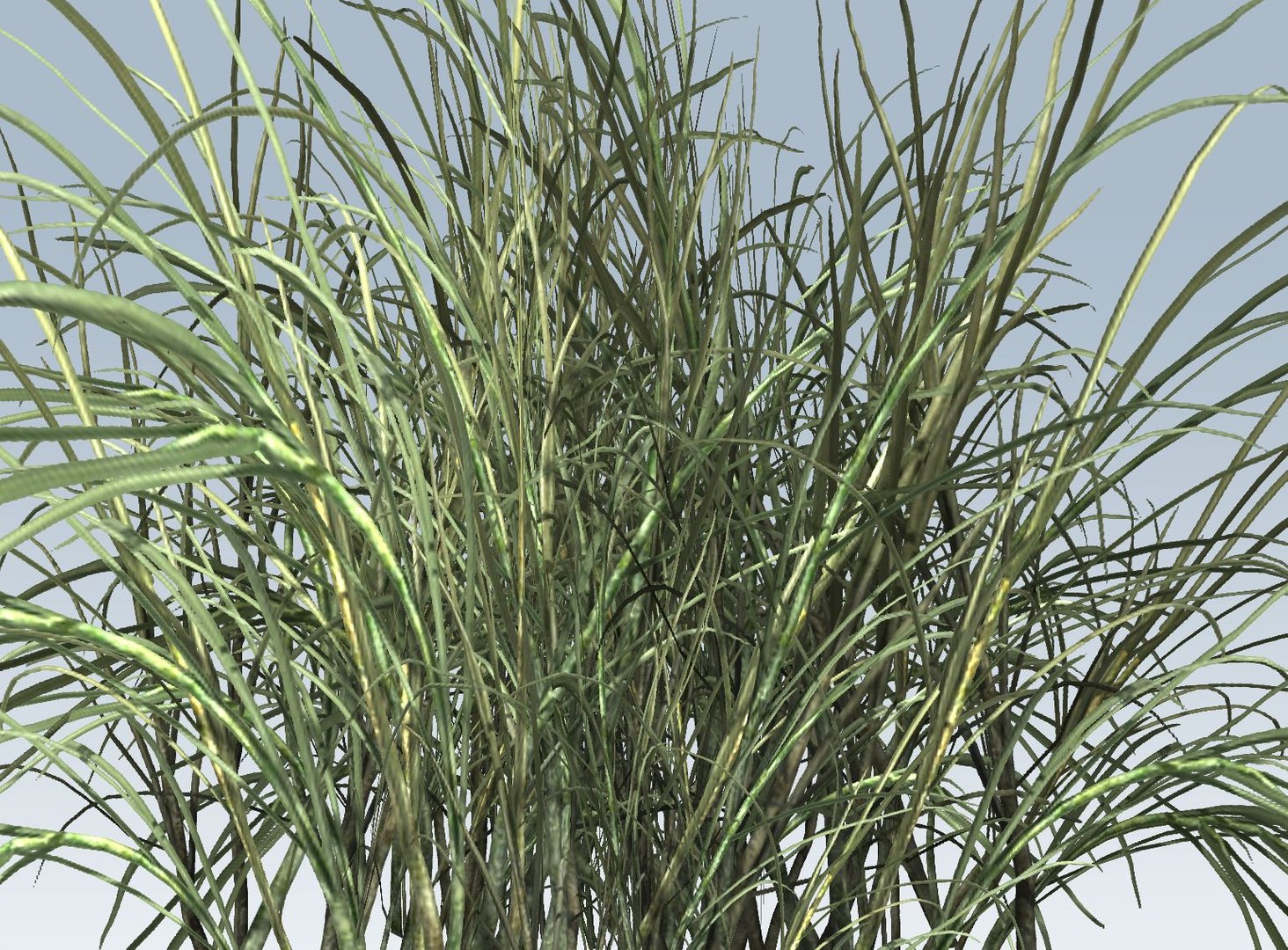 3D  model https://p.turbosquid.com/ts-thumb/oX/Jzlyy3/7YRcrSN9/9/jpg/1552664069/1920x1080/fit_q87/3d7217c394244fd2f0587526e30ca7a770cd3ad4/9.jpg