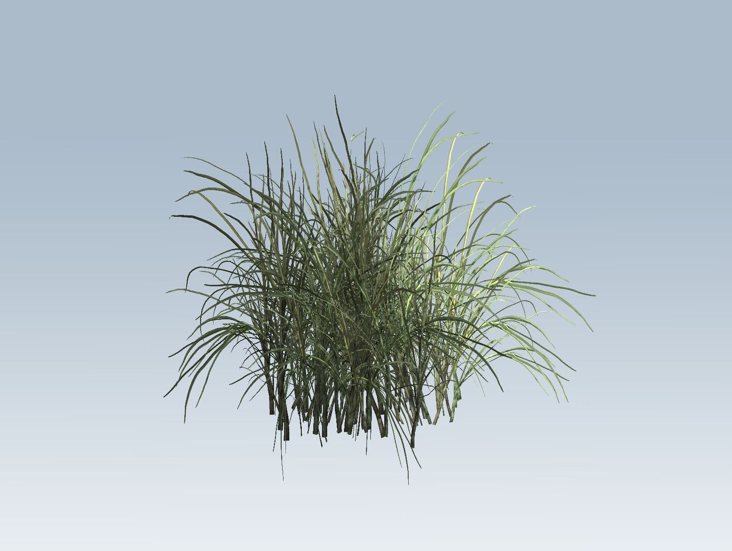 3D  model https://p.turbosquid.com/ts-thumb/oX/Jzlyy3/DlZGADGR/5/jpg/1552664029/1920x1080/fit_q87/5596e48cfd4a6796ae5309abc6a3f2f7d755cb4c/5.jpg