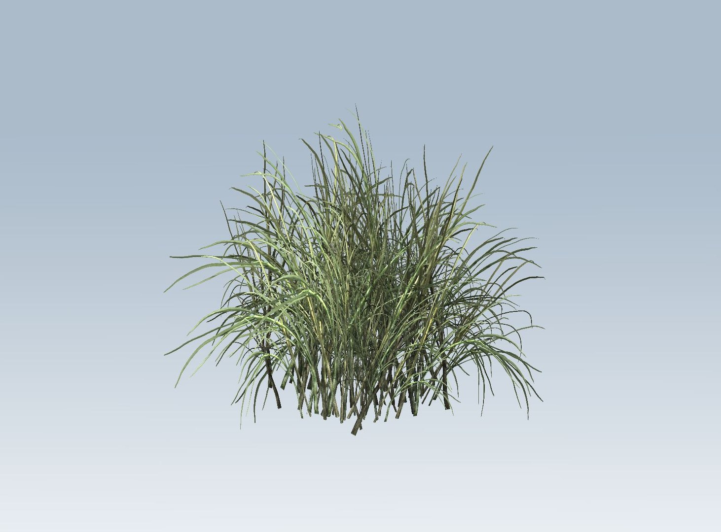3D  model https://p.turbosquid.com/ts-thumb/oX/Jzlyy3/Ki4V2bbo/7/jpg/1552664047/1920x1080/fit_q87/1fe326600b82148d875f44124c7dd5870380049a/7.jpg