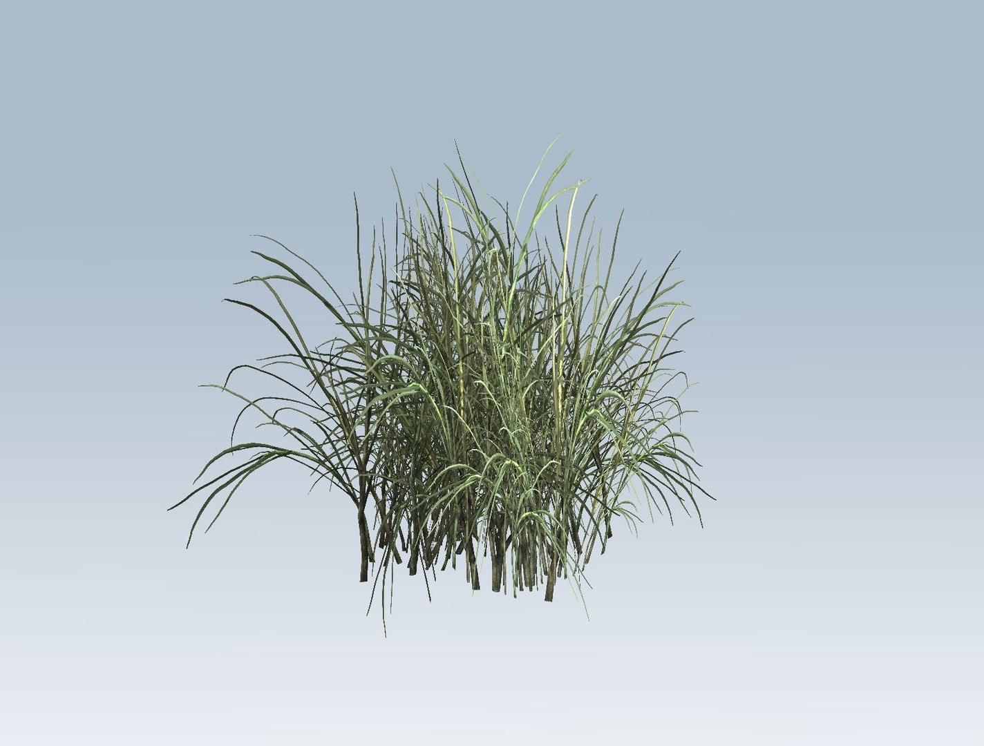 3D  model https://p.turbosquid.com/ts-thumb/oX/Jzlyy3/mtwJCxEP/6/jpg/1552664038/1920x1080/fit_q87/1275cada87bfa467ba1267ce68bcfa431b877991/6.jpg