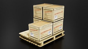 3D model Antrepo Cargo Boxes Palette 01