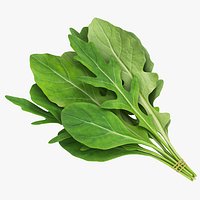 Arugula Bunch