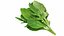 Produtos de vegetais para salada