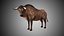 Low Poly Rigged Buffalo/Bull Taurus