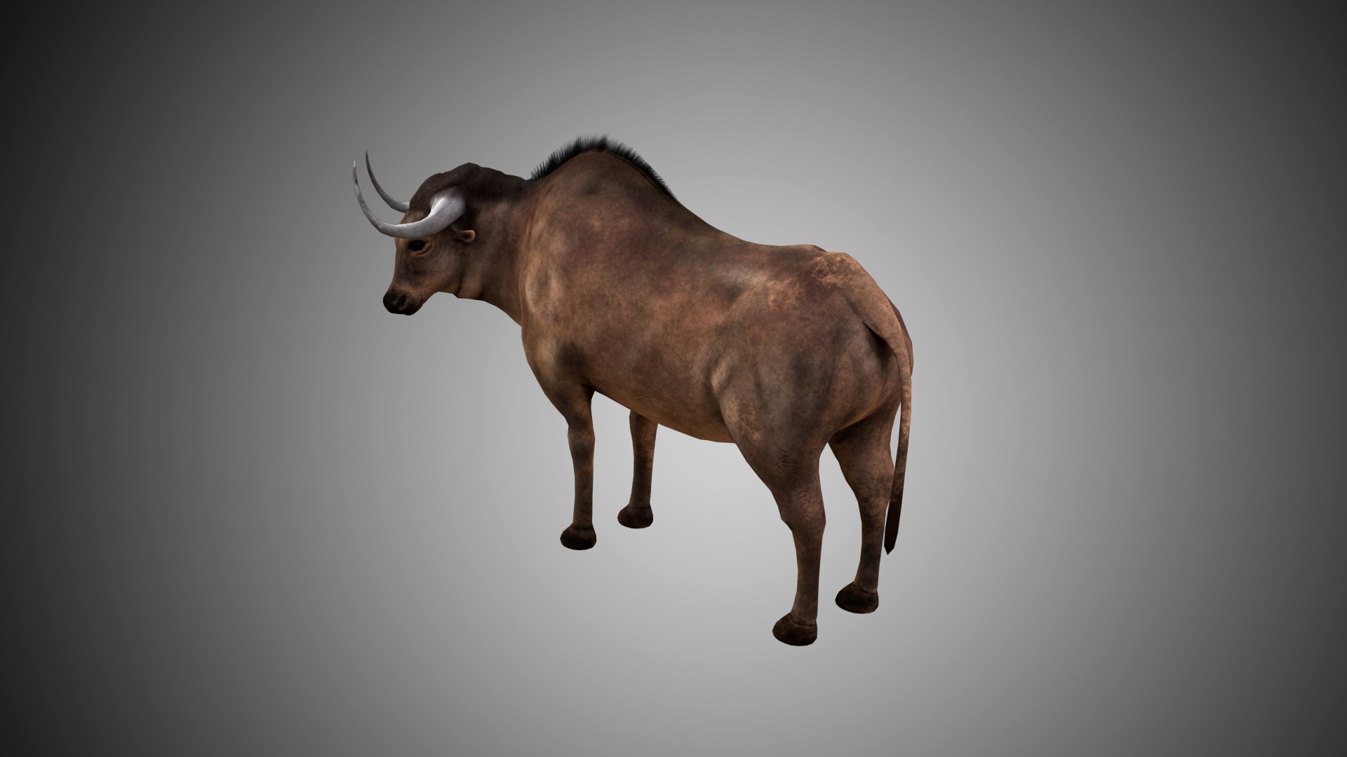 buffalo bull rigged 3D https://p.turbosquid.com/ts-thumb/oX/dJOJ9G/Cze4Layl/04/jpg/1592941105/1920x1080/fit_q87/d18112aeaf93c3b87b0e3e566a0a1afea6275893/04.jpg