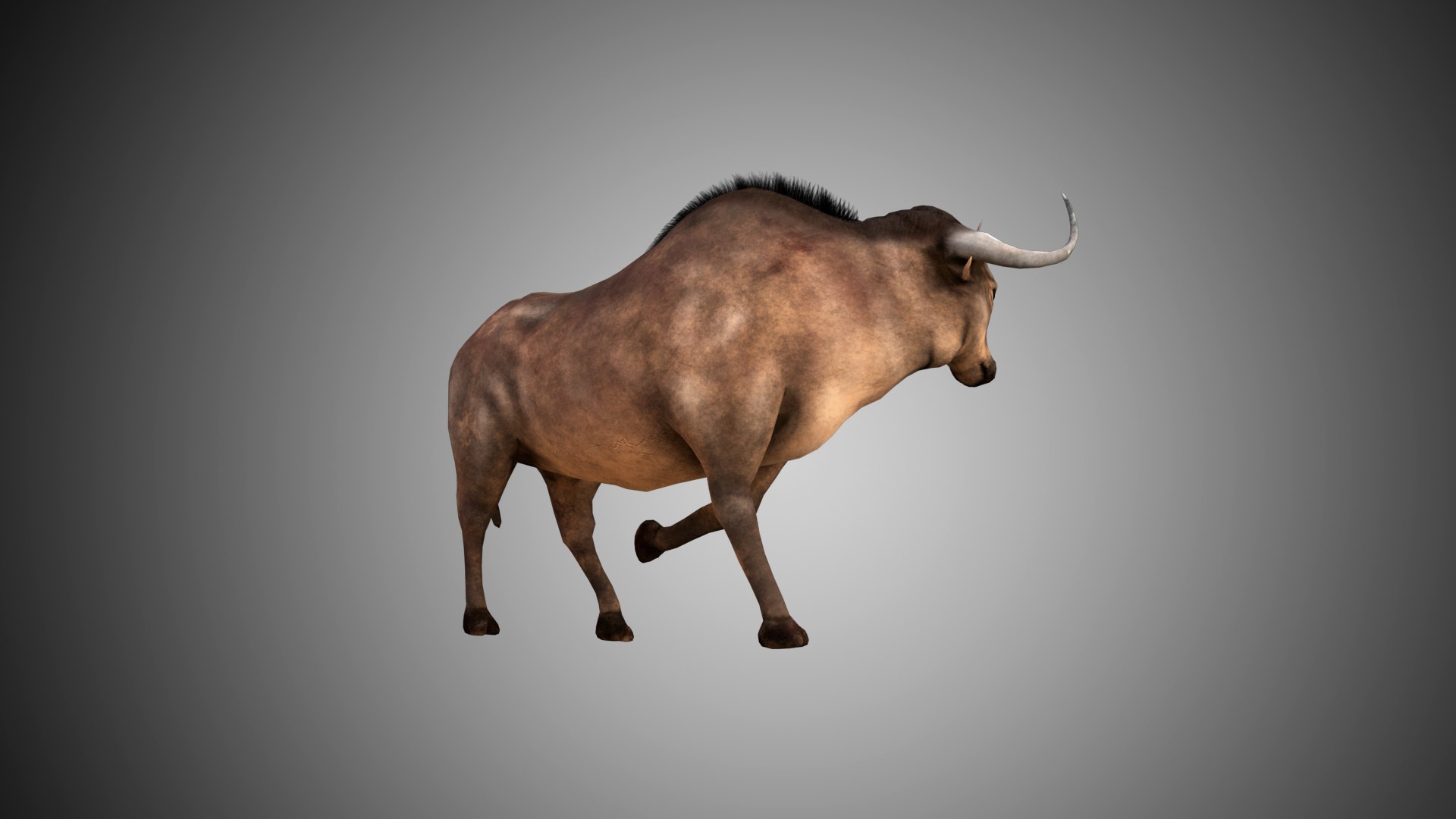 buffalo bull rigged 3D https://p.turbosquid.com/ts-thumb/oX/dJOJ9G/DIo9CXDy/06/jpg/1592941105/1920x1080/fit_q87/187c43cc55a061a9f0db377bfad4022f30e1efcf/06.jpg
