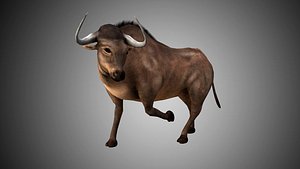 Low Poly Rigged Buffalo/Bull Taurus