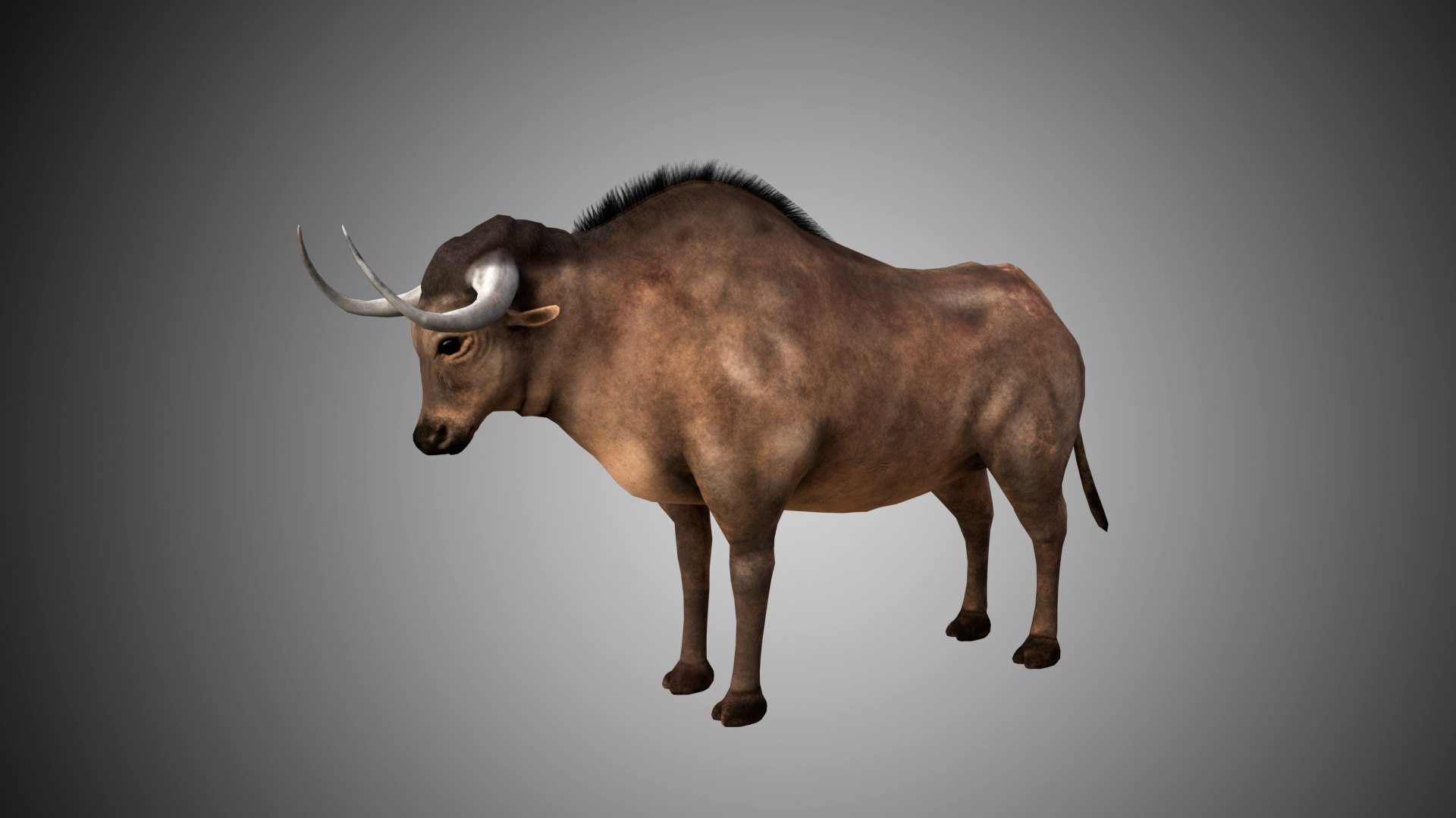 buffalo bull rigged 3D https://p.turbosquid.com/ts-thumb/oX/dJOJ9G/lmG7fn01/01/jpg/1592941104/1920x1080/fit_q87/6162604c6d631b0d693ec2faf52bcba921fe459f/01.jpg