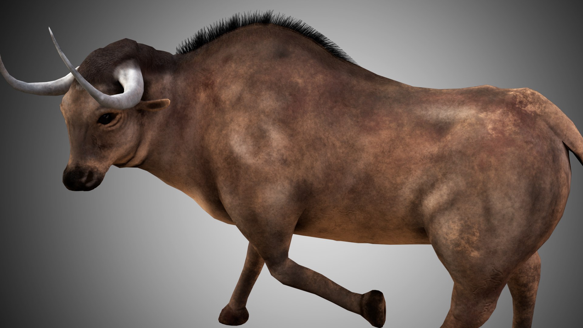 buffalo bull rigged 3D https://p.turbosquid.com/ts-thumb/oX/dJOJ9G/r9vNq0yz/07/jpg/1592941105/1920x1080/fit_q87/1abdac5d508d36e564d7d2f14fca4e0a8d8be5b6/07.jpg