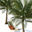3D hammock palm trees