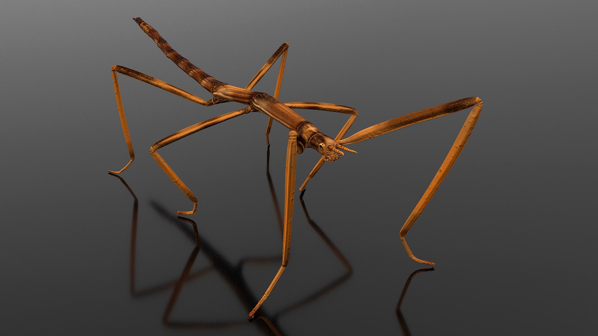 Stick Insect Brown 3D model preview