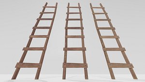 Wooden Ladder 2