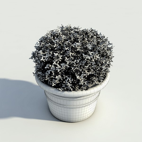 bushes pots 2 3d model