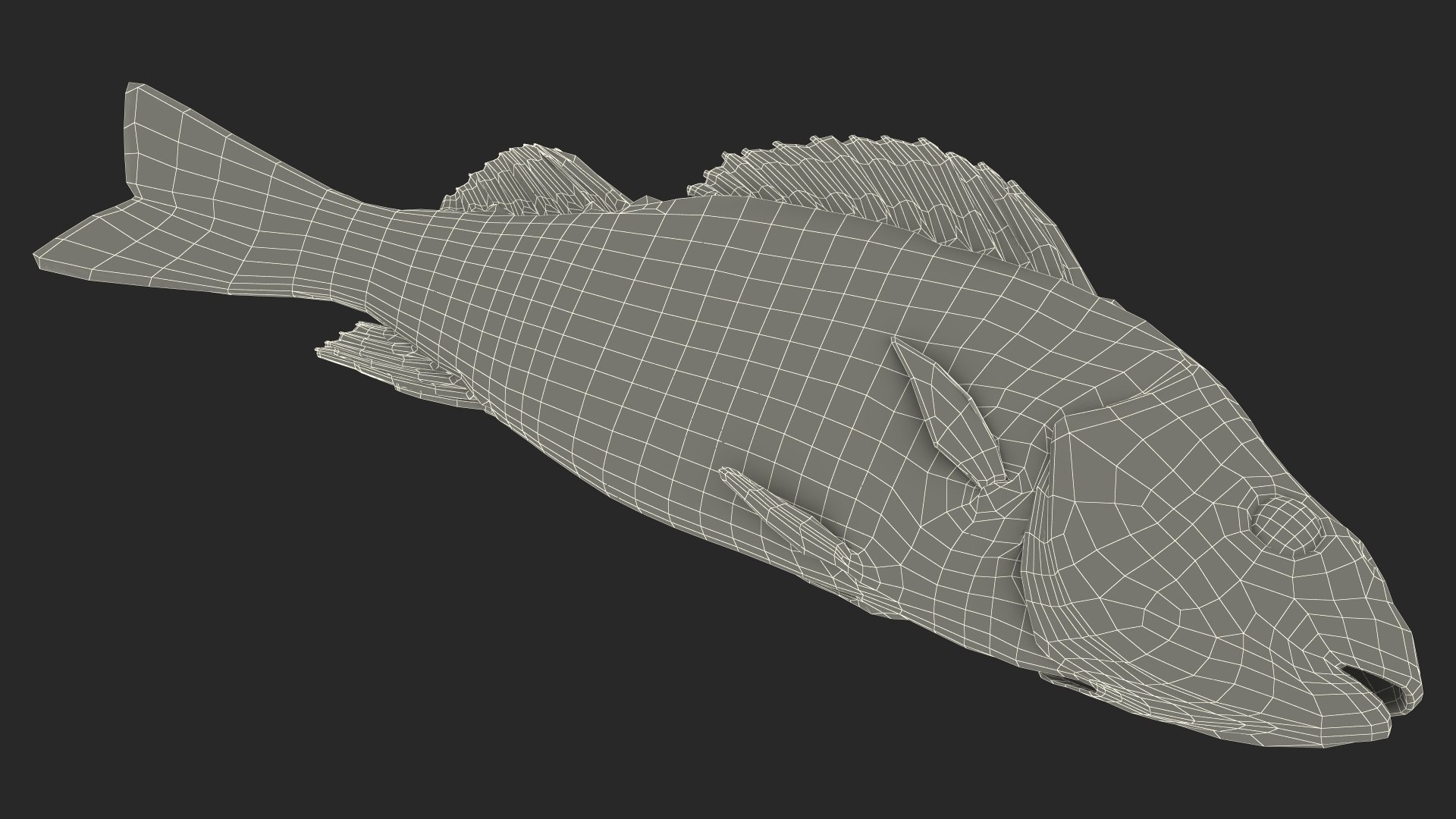 Caught Perca Fluviatilis Fish Lying 3D https://p.turbosquid.com/ts-thumb/oY/AZPOgb/09/caughtpercafluviatilisfishlying3dmodel030/jpg/1702527539/1920x1080/fit_q87/c90e4a1ed79f40cb1a2acfb8f991966235ab009a/caughtpercafluviatilisfishlying3dmodel030.jpg