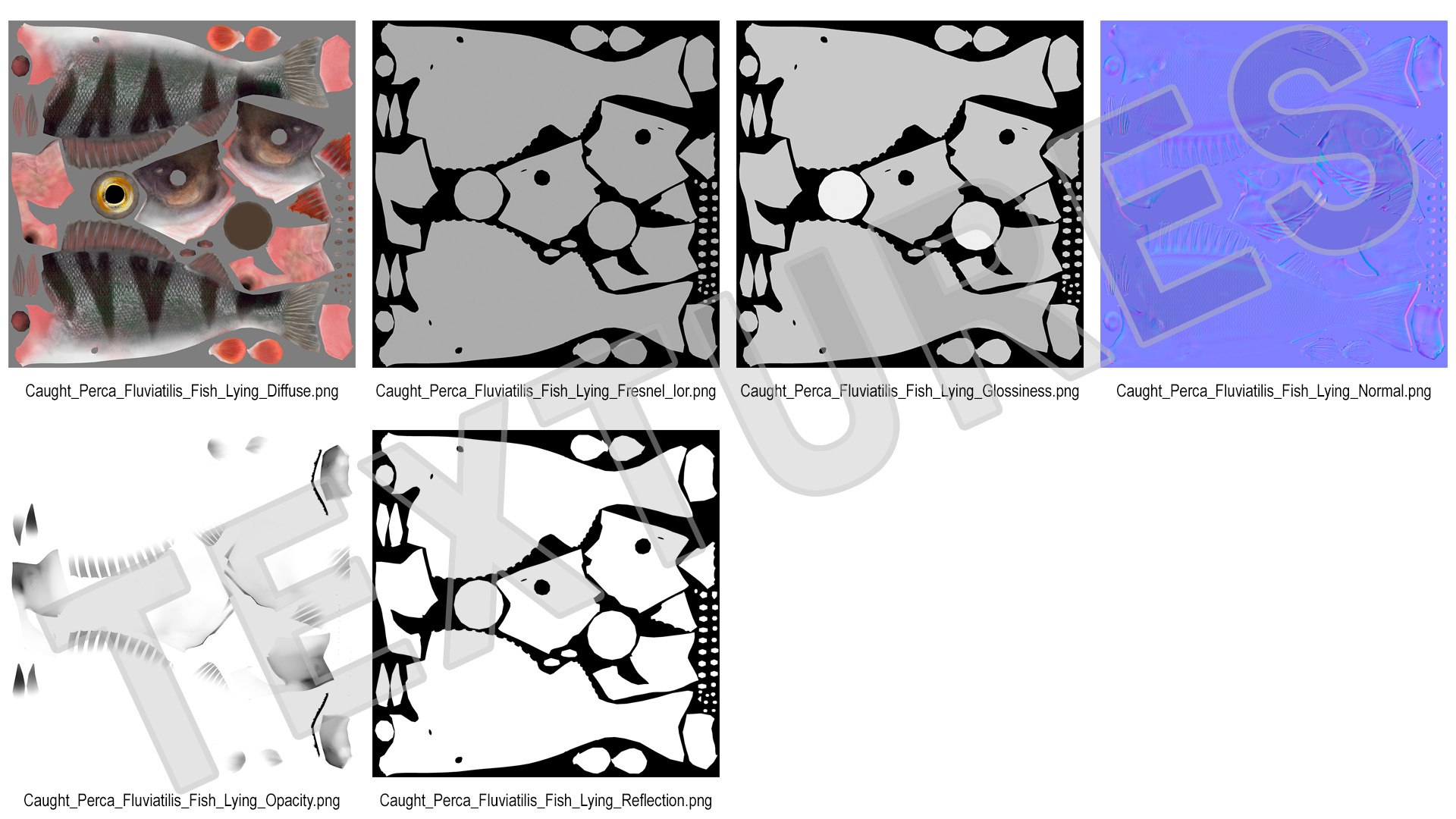 Caught Perca Fluviatilis Fish Lying 3D https://p.turbosquid.com/ts-thumb/oY/AZPOgb/2P/caughtpercafluviatilisfishlying3dmodel020/jpg/1702527500/1920x1080/fit_q87/e163664a25ac6b41758ebfa3cbd5e755ac6633b9/caughtpercafluviatilisfishlying3dmodel020.jpg