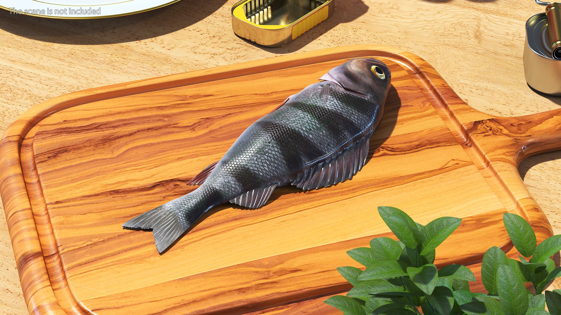 Caught Perca Fluviatilis Fish Lying 3D https://p.turbosquid.com/ts-thumb/oY/AZPOgb/GF/caughtpercafluviatilisfishlying3dmodel004/jpg/1702527434/1920x1080/fit_q87/3fdc23e8ea9aa60456b6f8732f56b6557888a4b5/caughtpercafluviatilisfishlying3dmodel004.jpg