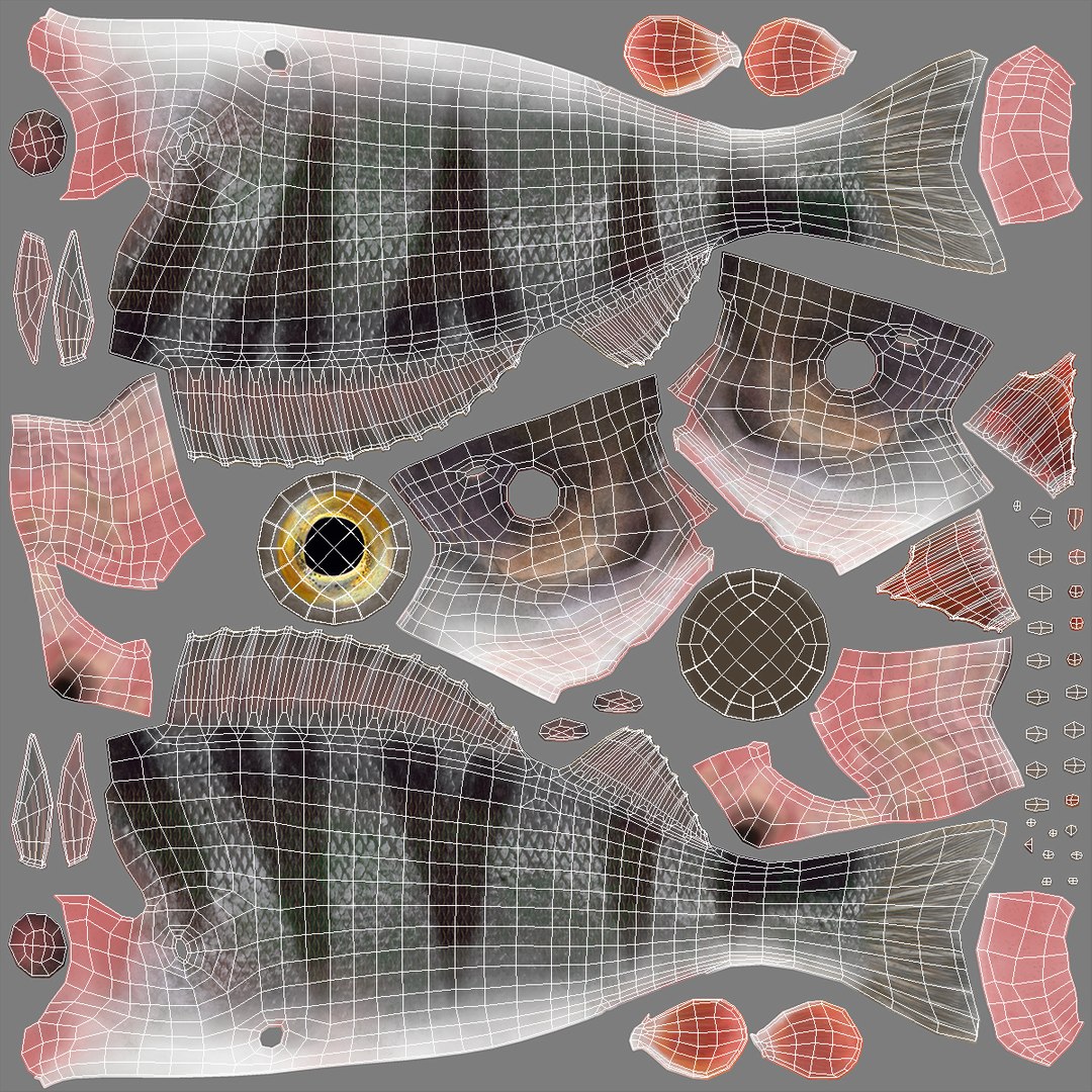 Caught Perca Fluviatilis Fish Lying 3D https://p.turbosquid.com/ts-thumb/oY/AZPOgb/Rc/caughtpercafluviatilisfishlying3dmodel019/jpg/1702527495/1920x1080/fit_q87/b6d42b19155b5b41b30201aa923fc0d93843e52b/caughtpercafluviatilisfishlying3dmodel019.jpg