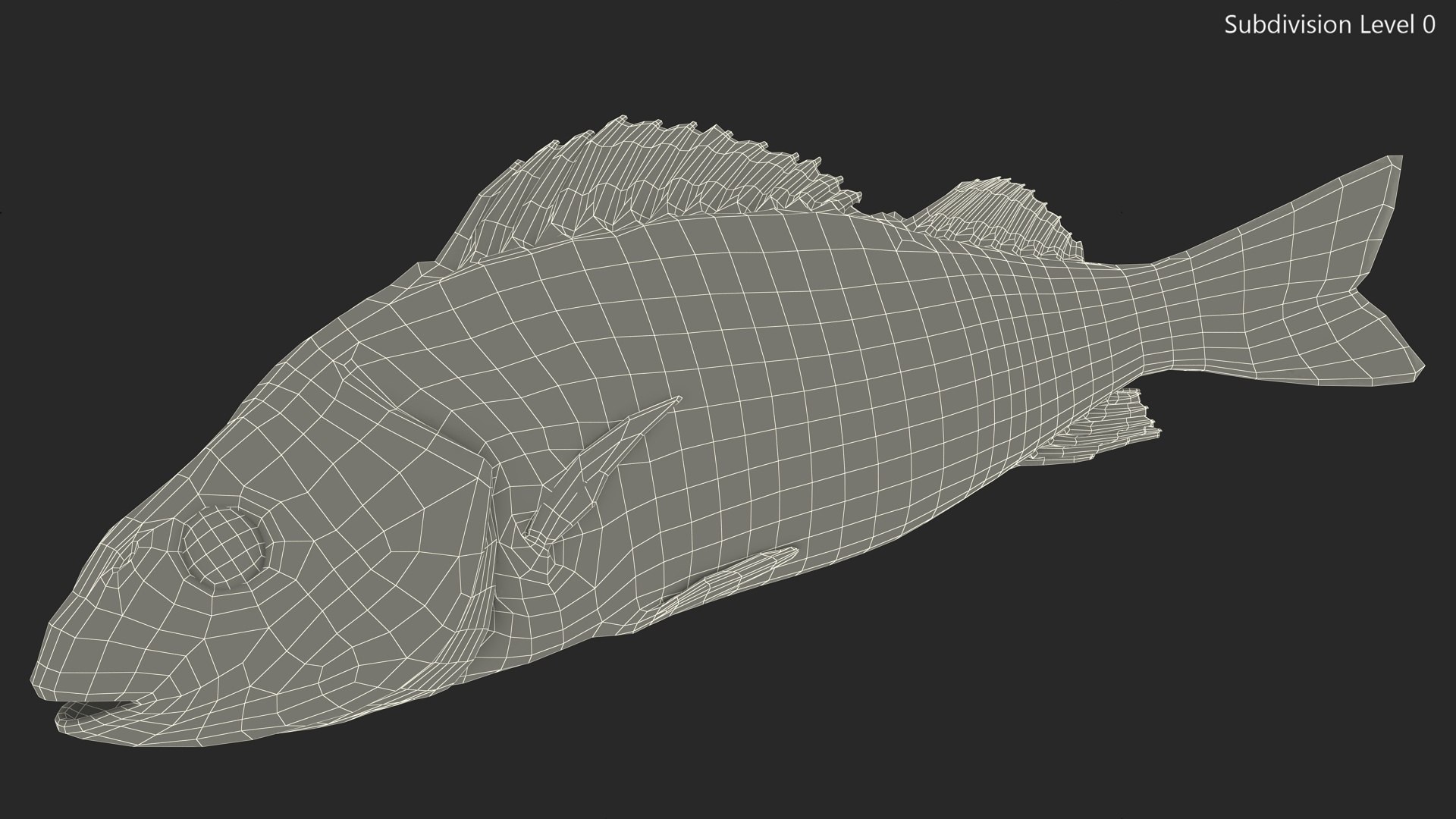 Caught Perca Fluviatilis Fish Lying 3D https://p.turbosquid.com/ts-thumb/oY/AZPOgb/Tf/caughtpercafluviatilisfishlying3dmodel017/jpg/1702527486/1920x1080/fit_q87/10fe30be548e65b79d44d1242316ffbdbbecad47/caughtpercafluviatilisfishlying3dmodel017.jpg